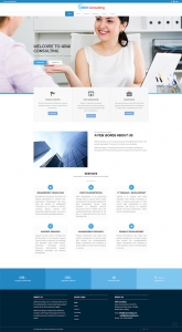 IT Consulting Company Website Development By TECHUI
